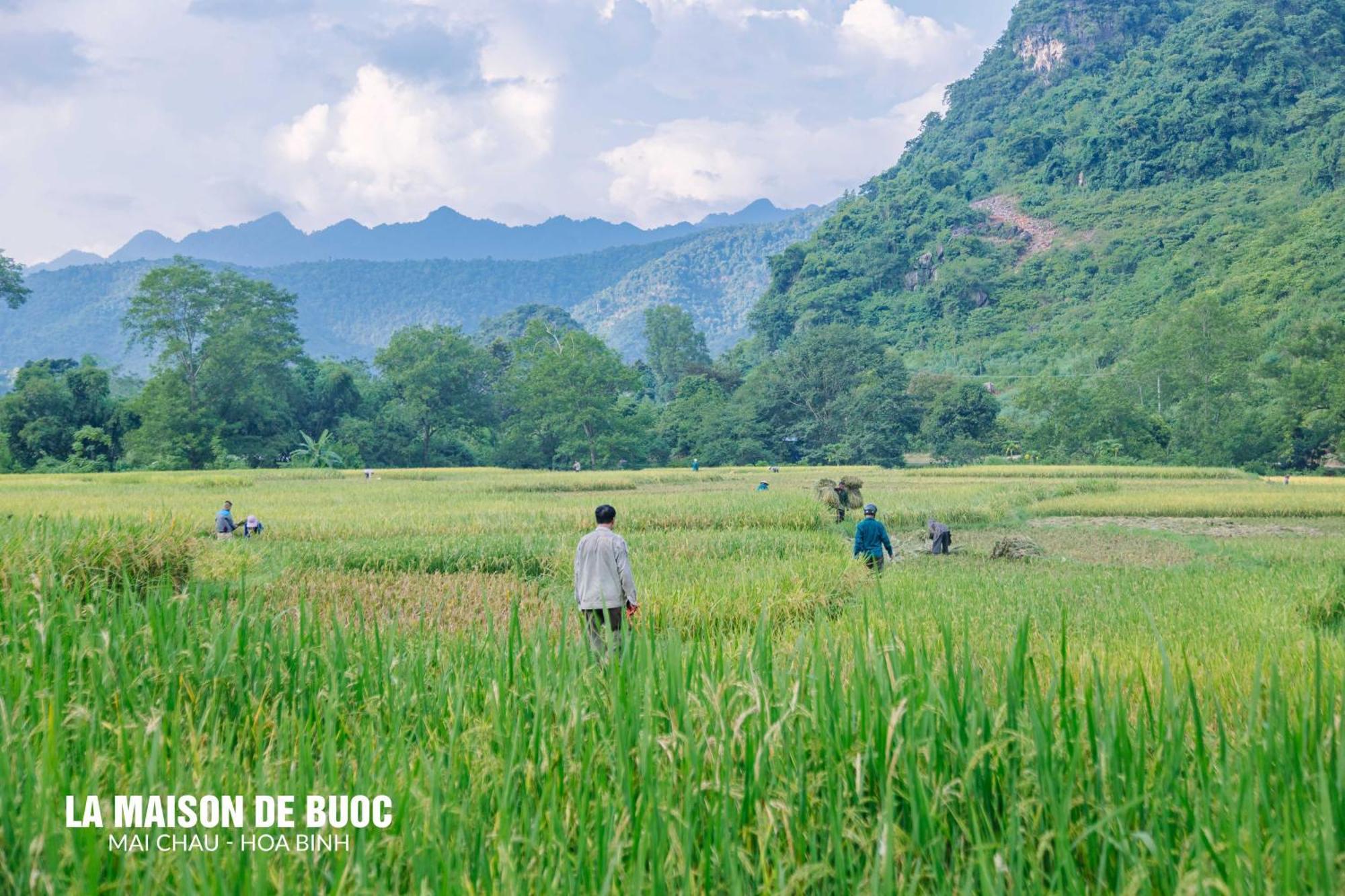 La Maison De Buoc マイチャウ エクステリア 写真