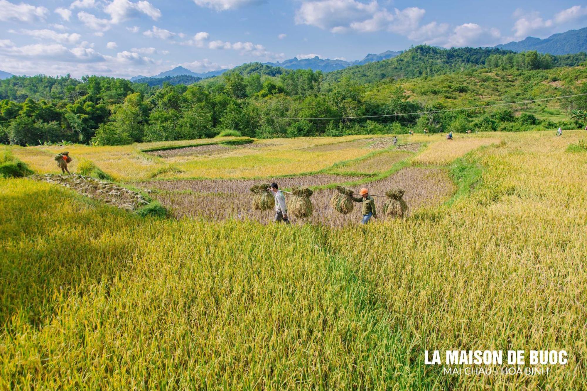La Maison De Buoc マイチャウ エクステリア 写真